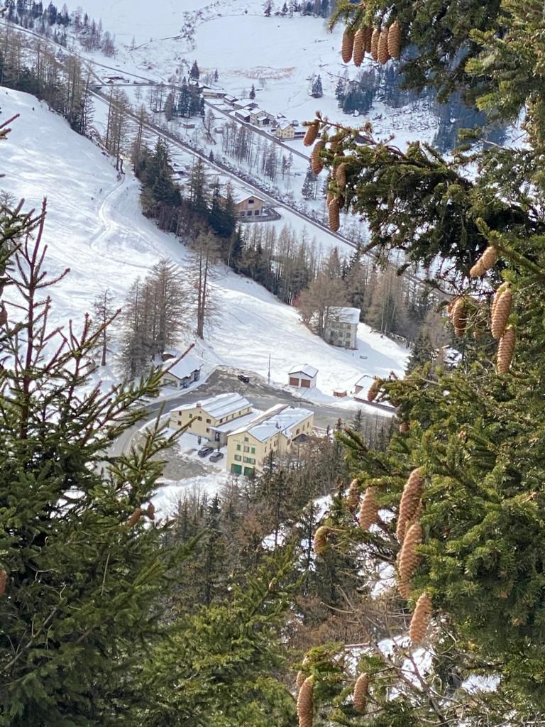 Hôtel du Col de la Forclaz